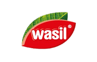 Wasil